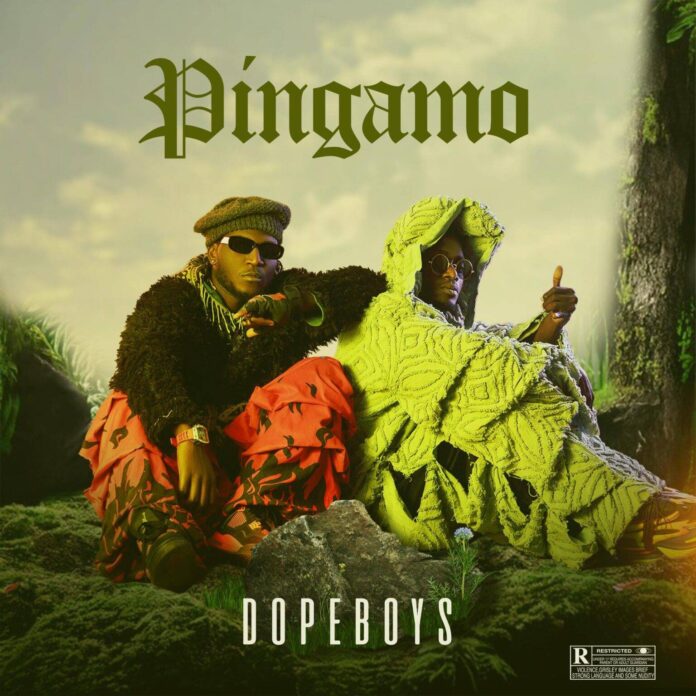 Dope Boys ft JC Kalinks – Wikantola