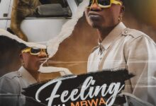 Selemanyo – Feeling Ya Mbwa Mp3 Download