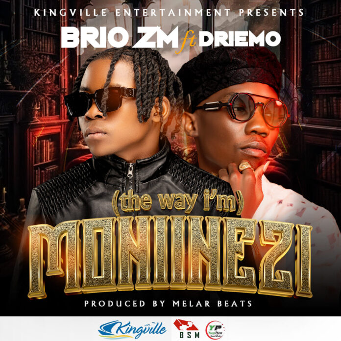 Brio Zm ft. Driemo - Moniinezi