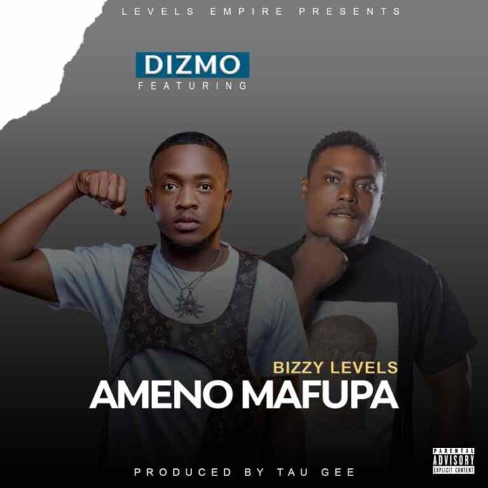 Dizmo ft. Bizzy Levels – Ameno Mafupa Mp3 Download 