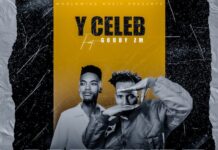 Y Celeb ft. Goddy Zambia – Pressure Mp3 Download