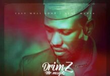 Drimz – Nalipalwa Kale Mp3 Download