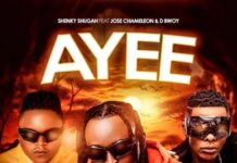 Shenky ft. Jose Chameleon & D Bwoy – Ayee Mp3 Download